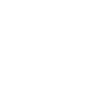 palmarius logo